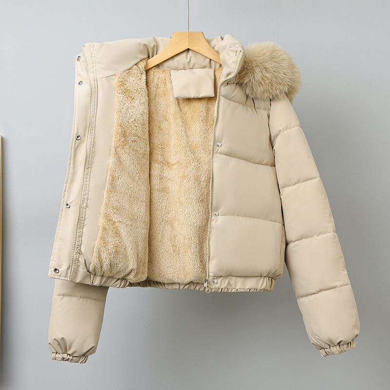 Winter Korte Parka's Dames Kat - Wool Coat Peacoat recensie en prijs